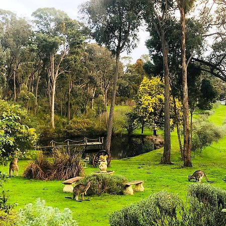Countryside Retreat Romantic Tranquil Native Wildlife Township Hepburn - Daylesford Hepburn Springs Buitenkant foto
