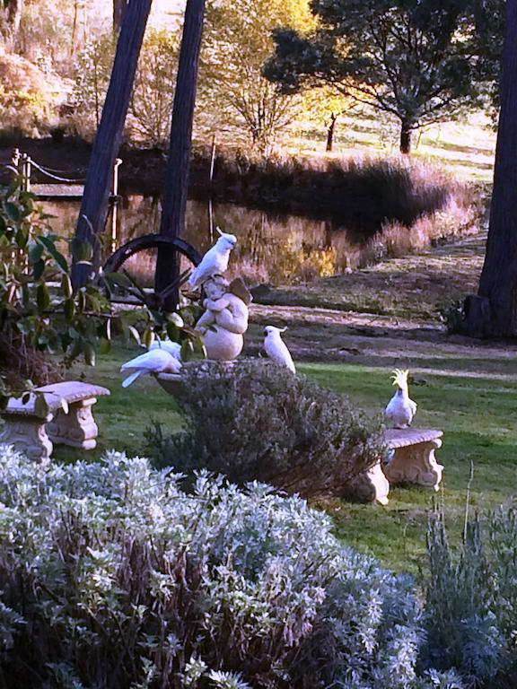 Countryside Retreat Romantic Tranquil Native Wildlife Township Hepburn - Daylesford Hepburn Springs Buitenkant foto