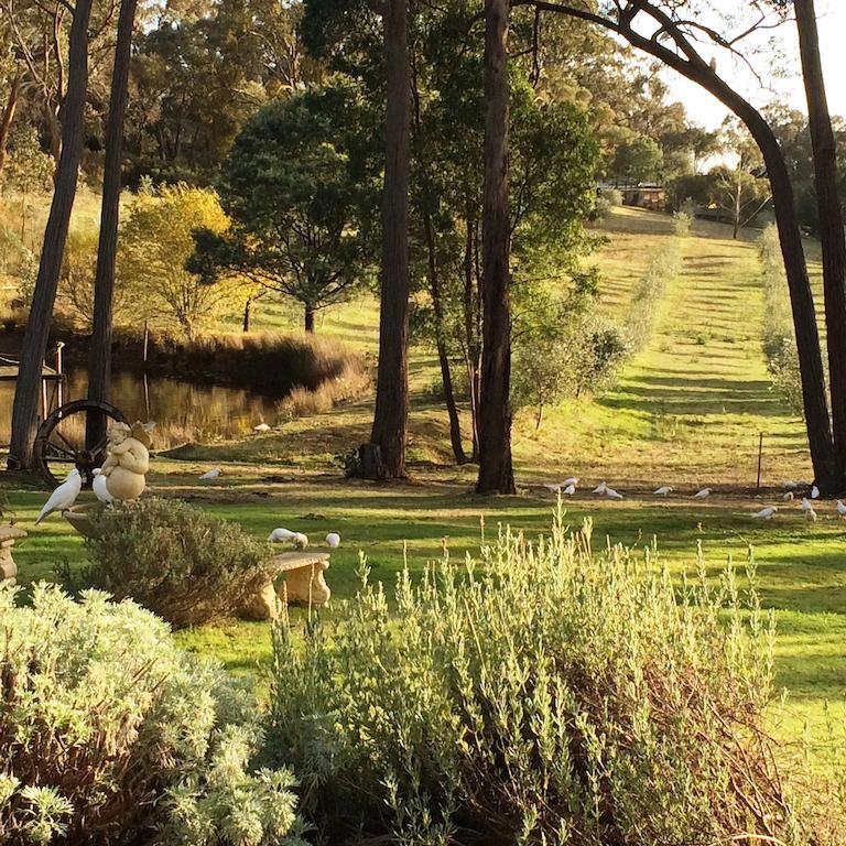 Countryside Retreat Romantic Tranquil Native Wildlife Township Hepburn - Daylesford Hepburn Springs Buitenkant foto