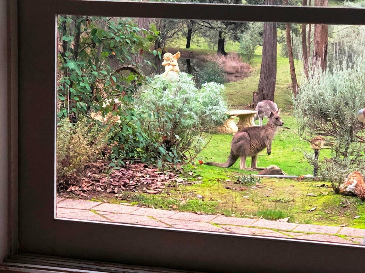 Countryside Retreat Romantic Tranquil Native Wildlife Township Hepburn - Daylesford Hepburn Springs Buitenkant foto
